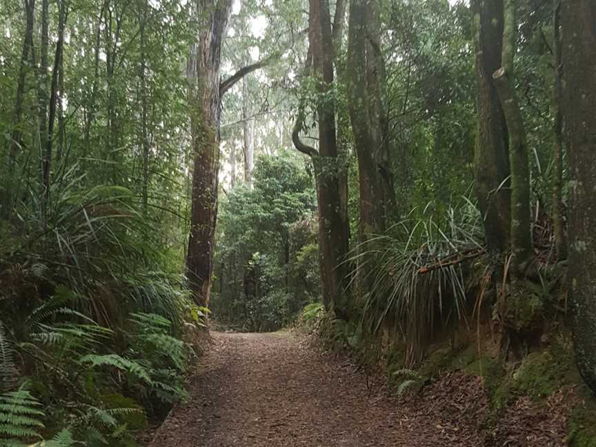 Uralla Nature Reserve, Trafalgar, VIC