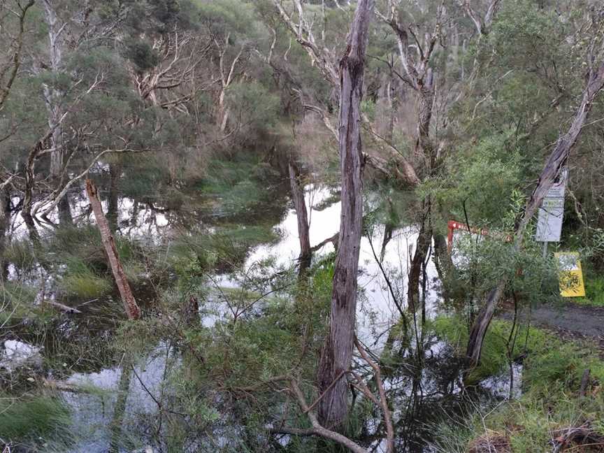 Berridge Park, Denmark, WA