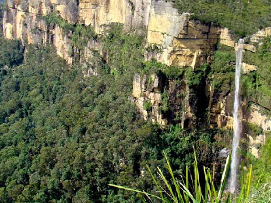 Cliff Top Walking Track, Blackheath, NSW