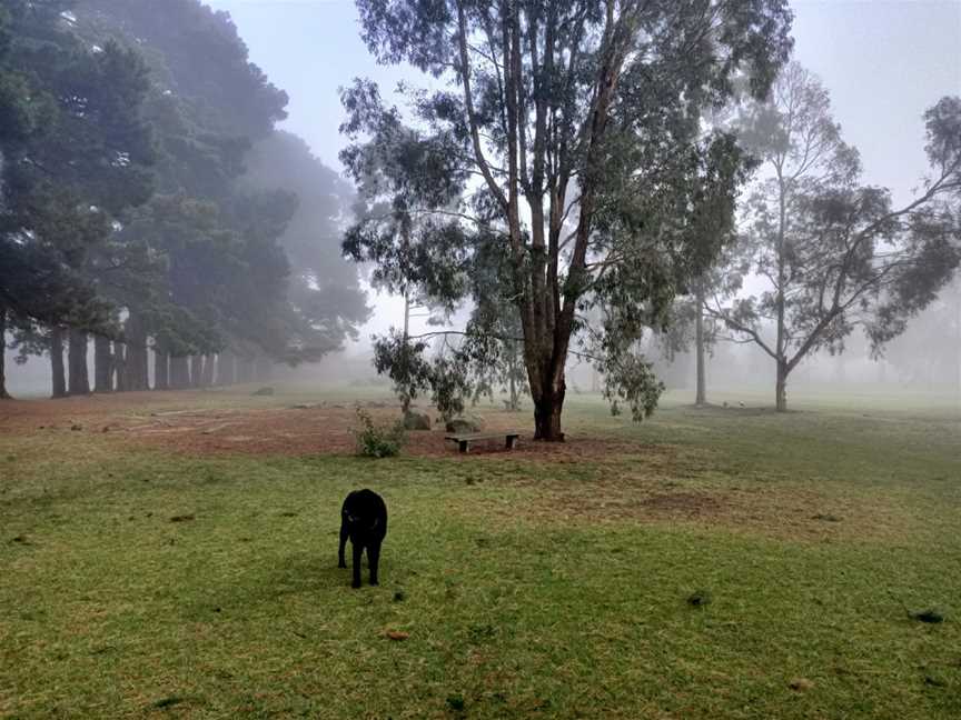 East Burwood Reserve, Burwood East, VIC