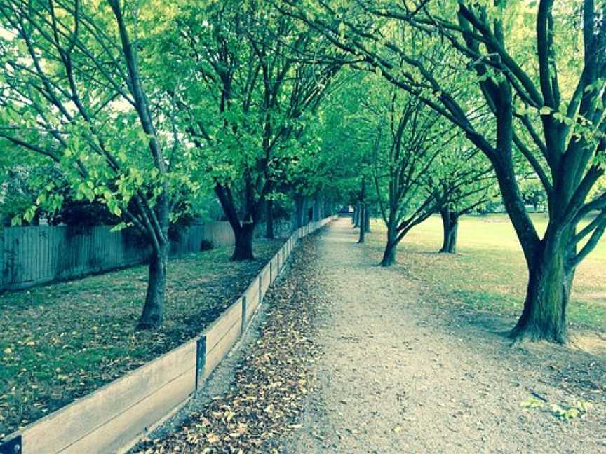 Elmhurst Basin, Blackburn, VIC