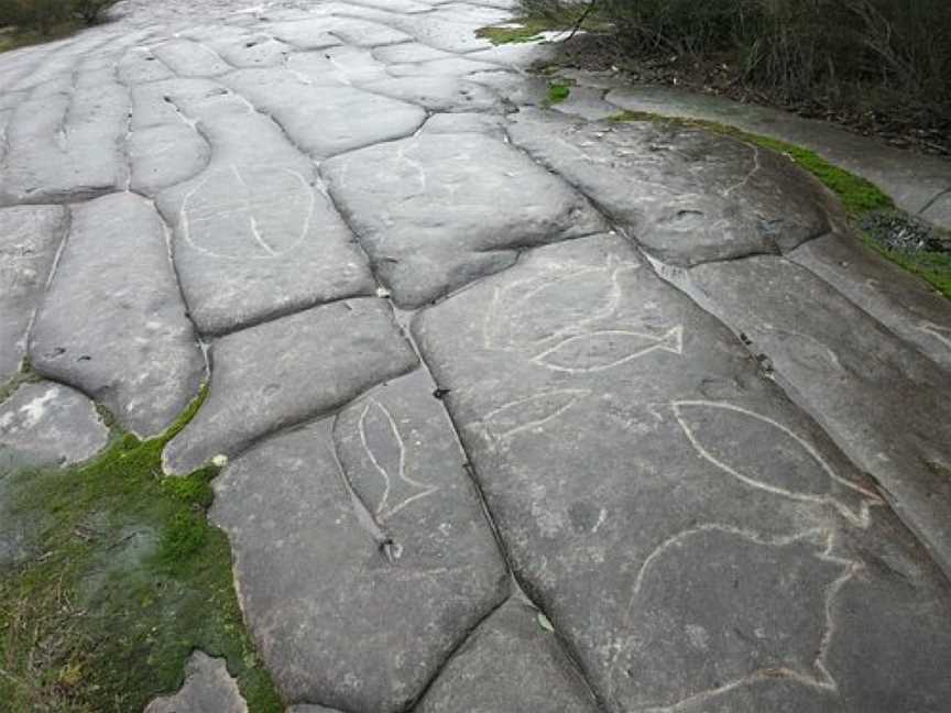 Elvina Track Aboriginal Engraving Site, Ku-Ring-Gai Chase, NSW