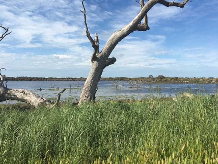 Grassflat Swamp Flora and Fauna Reserve, Natimuk, VIC