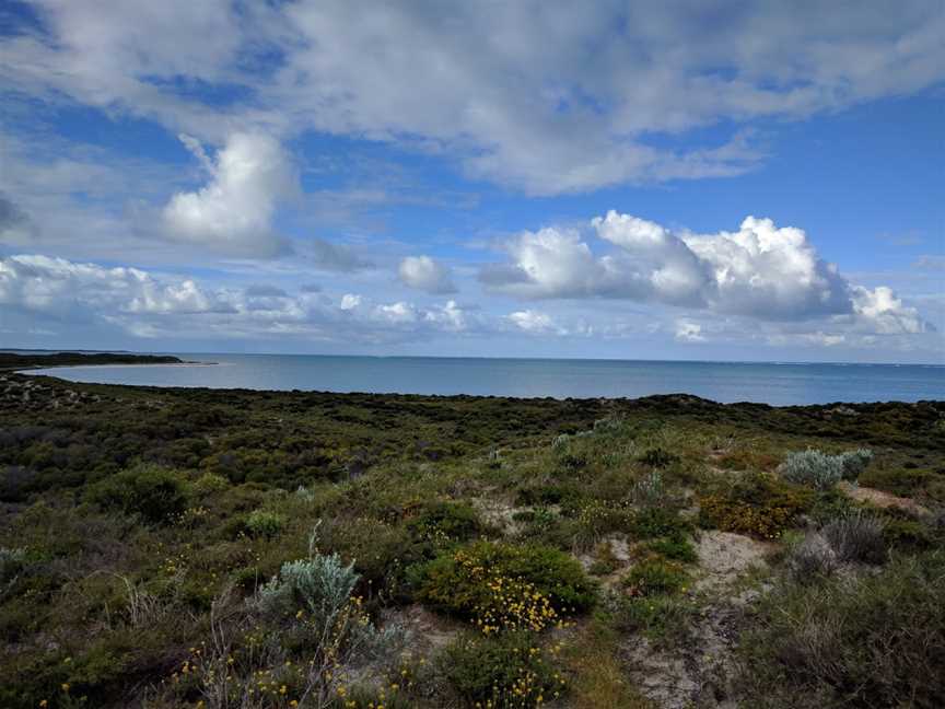 Hansen Bay Lookout, Cervantes, WA