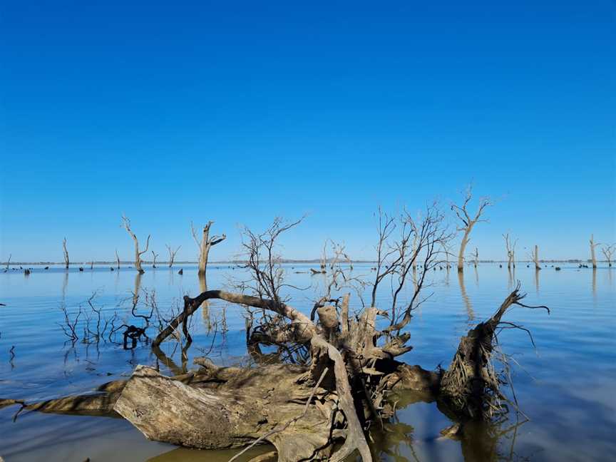 Kow Swamp, Gunbower, VIC