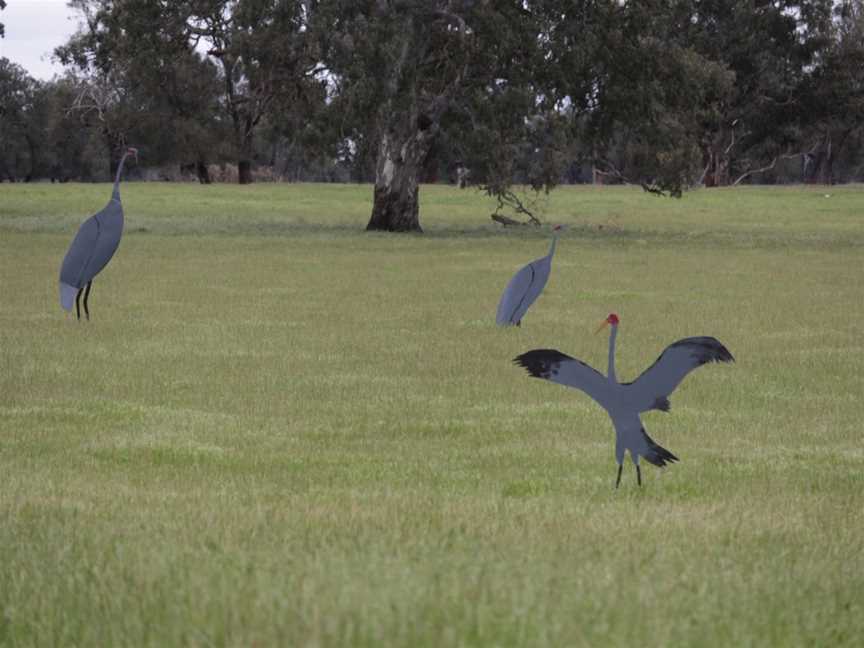 Lake Bringalbert, Apsley, VIC