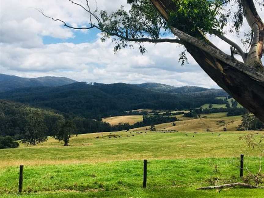 Little Charli's Lookout, Neerim South, VIC