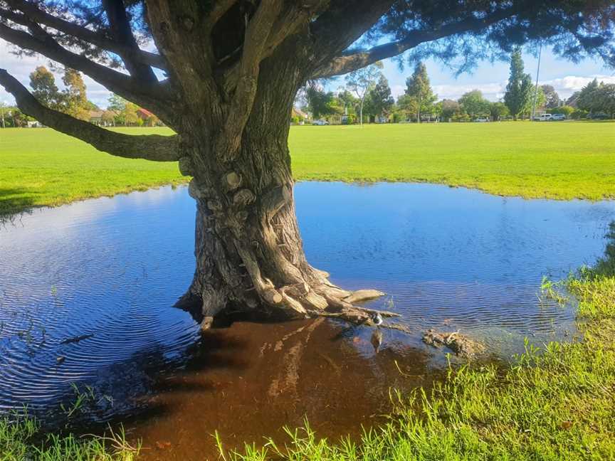 Lord Reserve, Carnegie, VIC