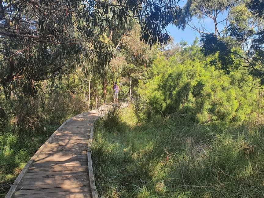 Long Hollow Heathland, Beaumaris, VIC