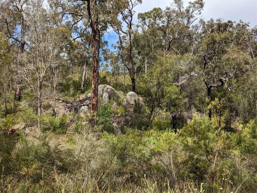 Mount Lindesay National Park, Denmark, WA