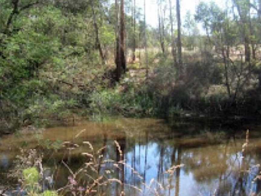 Normans Reserve, Warrandyte, VIC