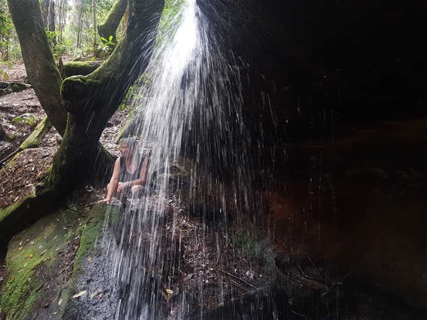 Olney State Forest, Laguna, NSW