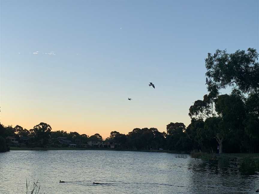 Sutton Lake, Rowville, VIC