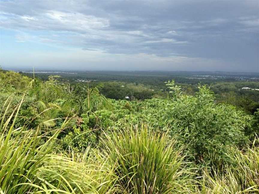 Tree of Life, Buderim, QLD