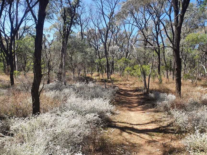 Tregole National Park, Morven, QLD