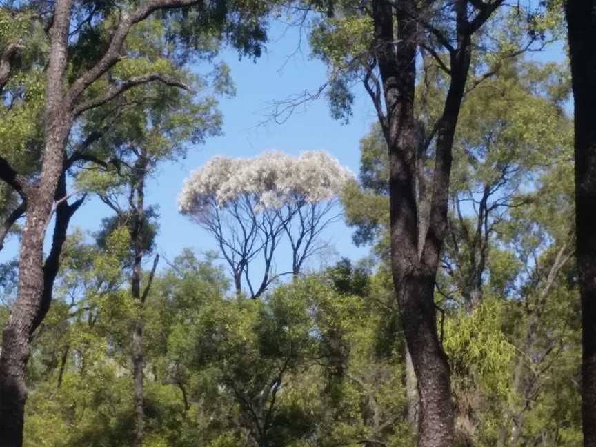 Tregole National Park, Morven, QLD