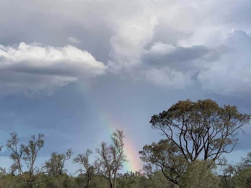 Tregole National Park, Morven, QLD