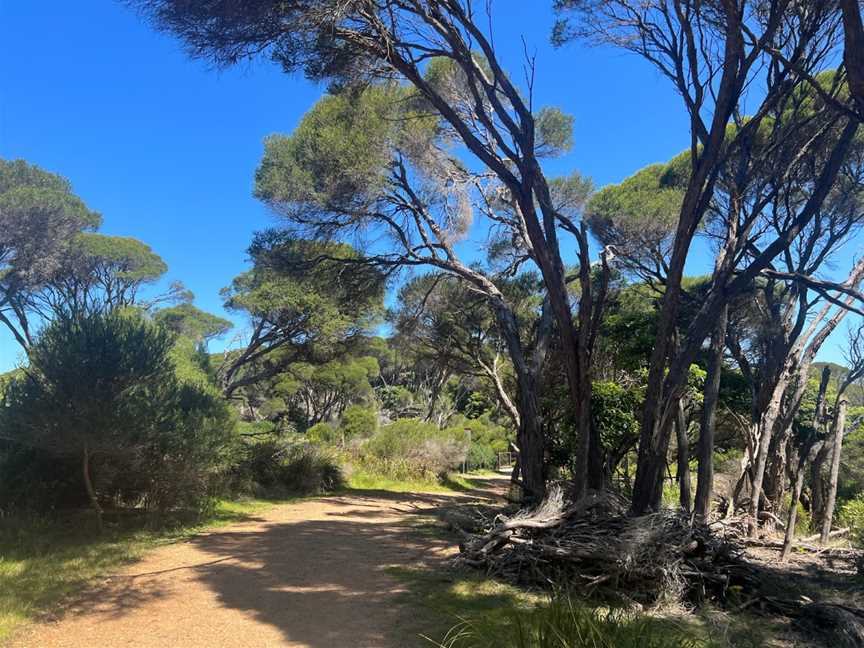 Wallagoot Gap, Tathra, NSW