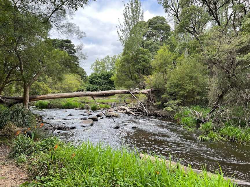 Warburton Swing Bridge, Warburton, VIC