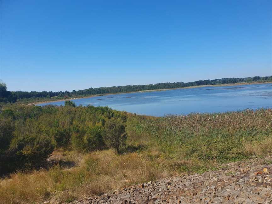 Bittern Reservoir, Tuerong, VIC