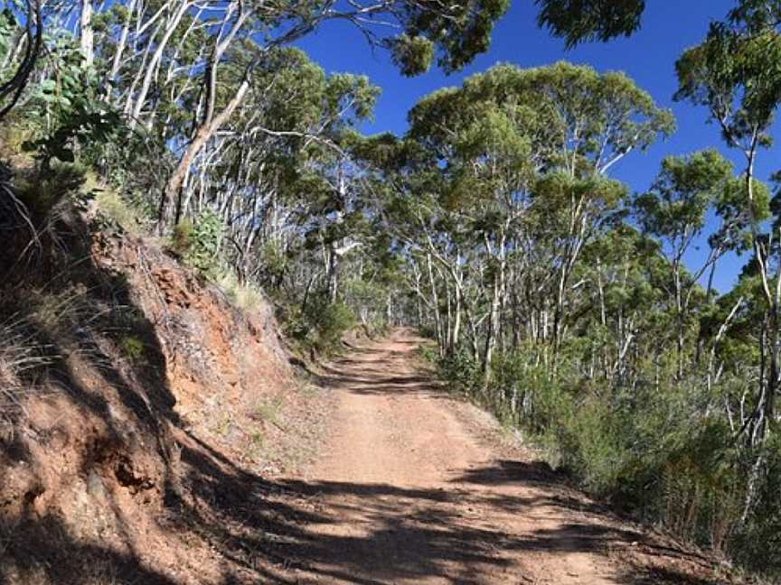 Chambers Gully Hike, Cudlee Creek, SA