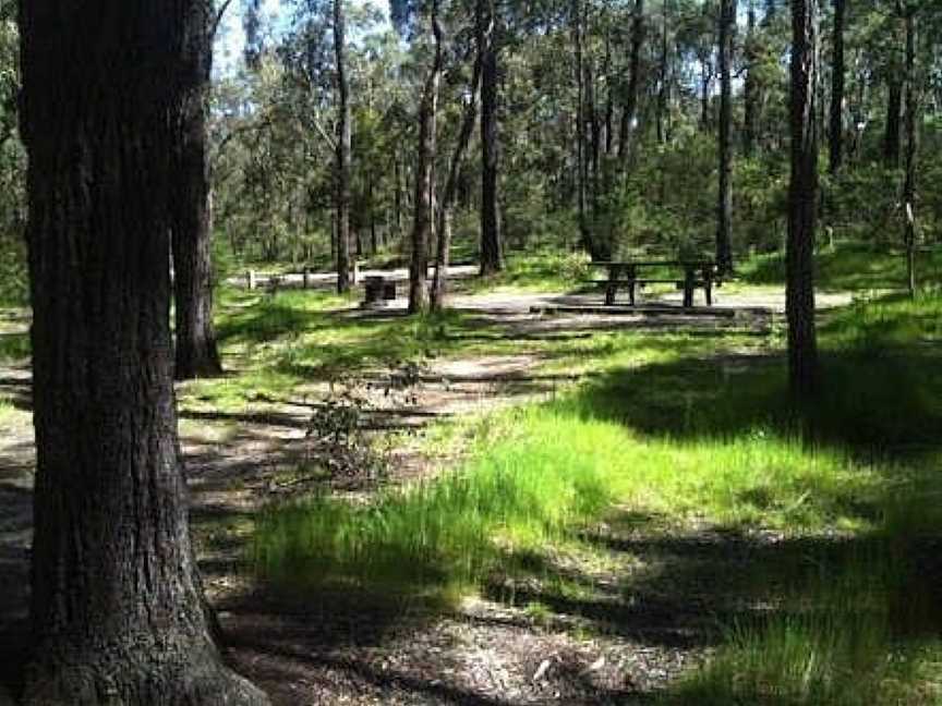 Distillery Creek Picnic Ground, Fairhaven, VIC