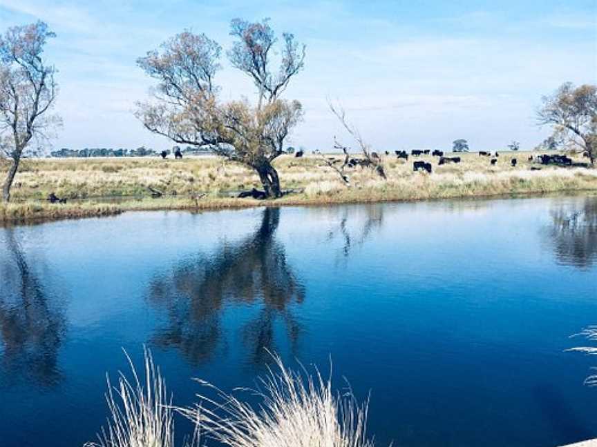 Evandale Rotary Park, Evandale, TAS