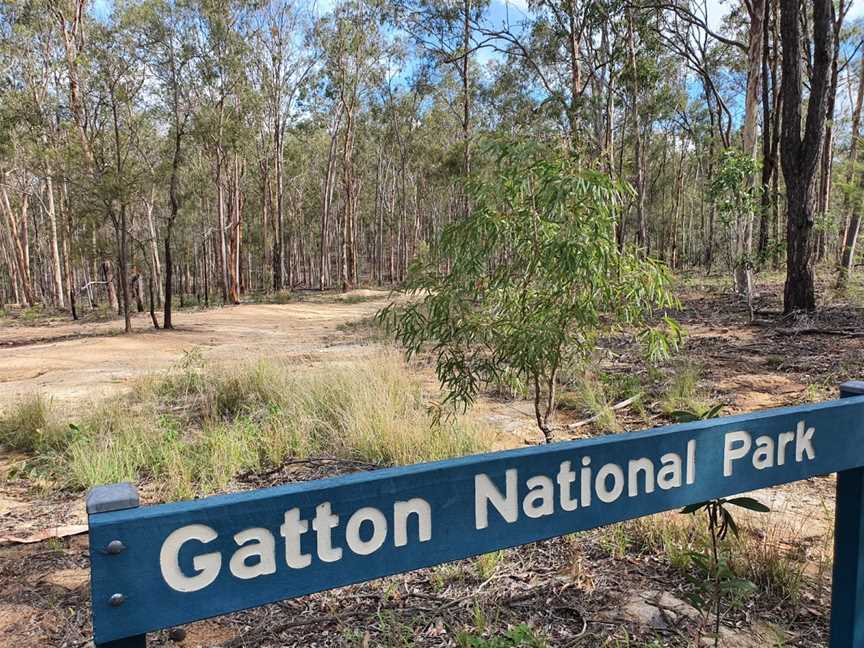 Gatton National Park, Gatton, QLD