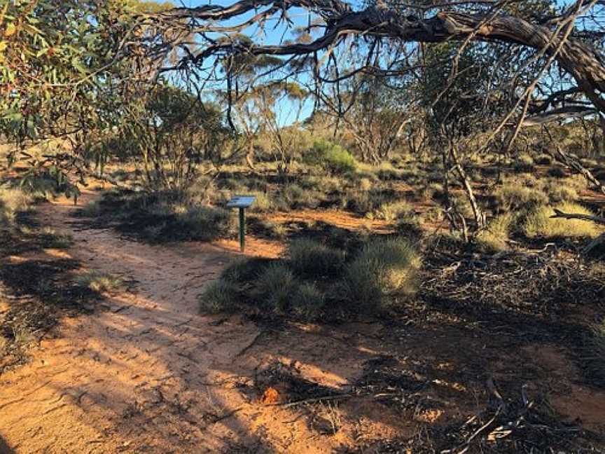 Hattah Nature Walk, Ouyen, VIC