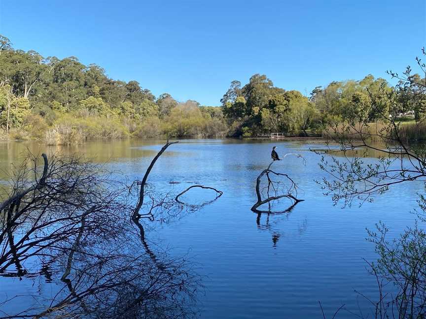 Jubilee Lake, Daylesford, VIC