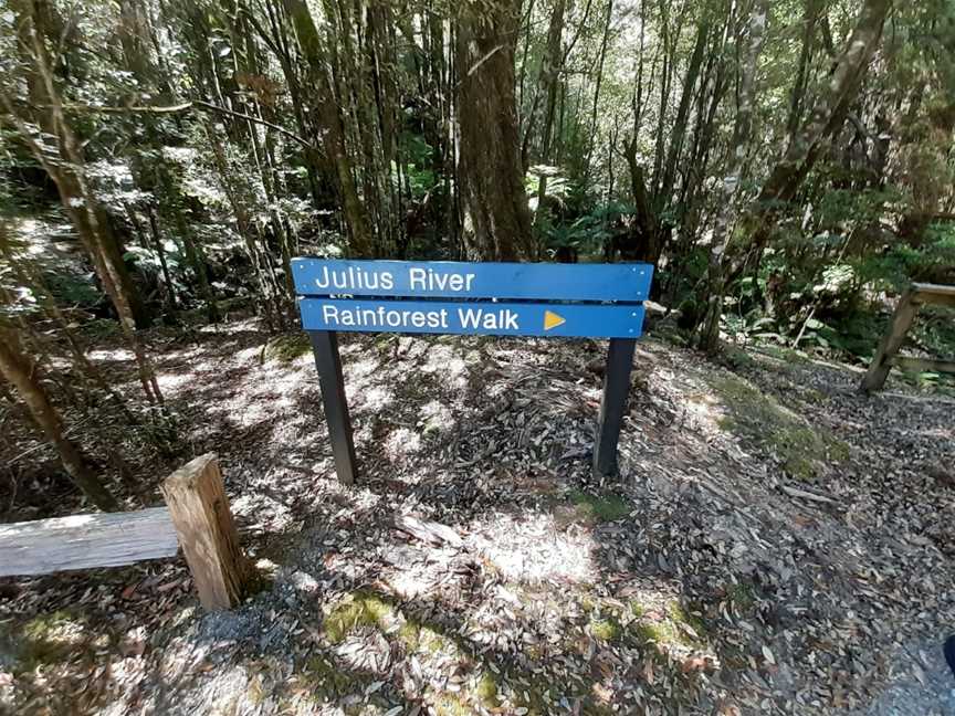 Julius River Rainforest Walk, Trowutta, TAS