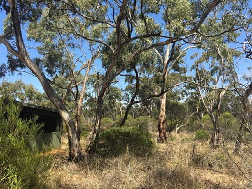 Keith Hateley Nature Walk, Dimboola, VIC