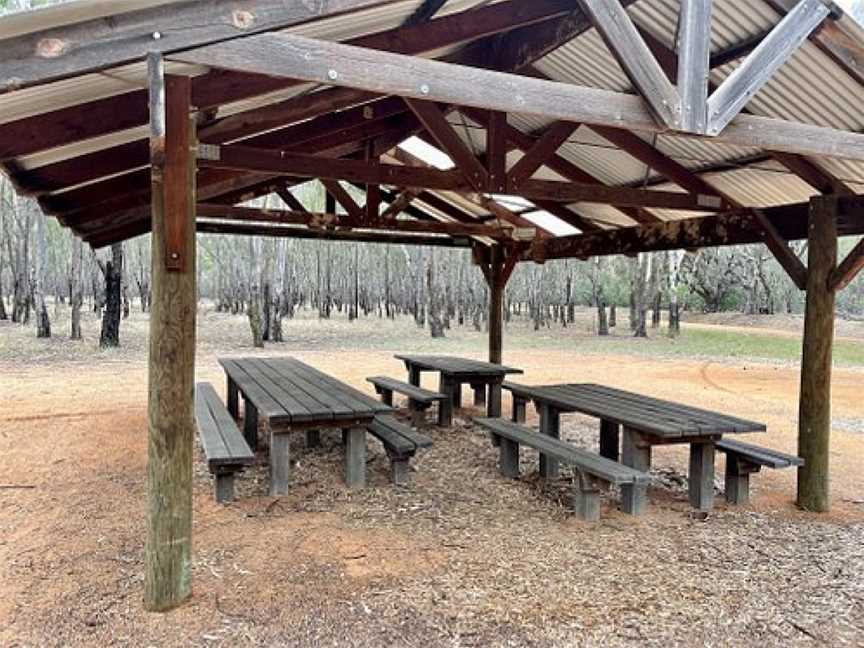 Kinnairds Wetland, Numurkah, VIC