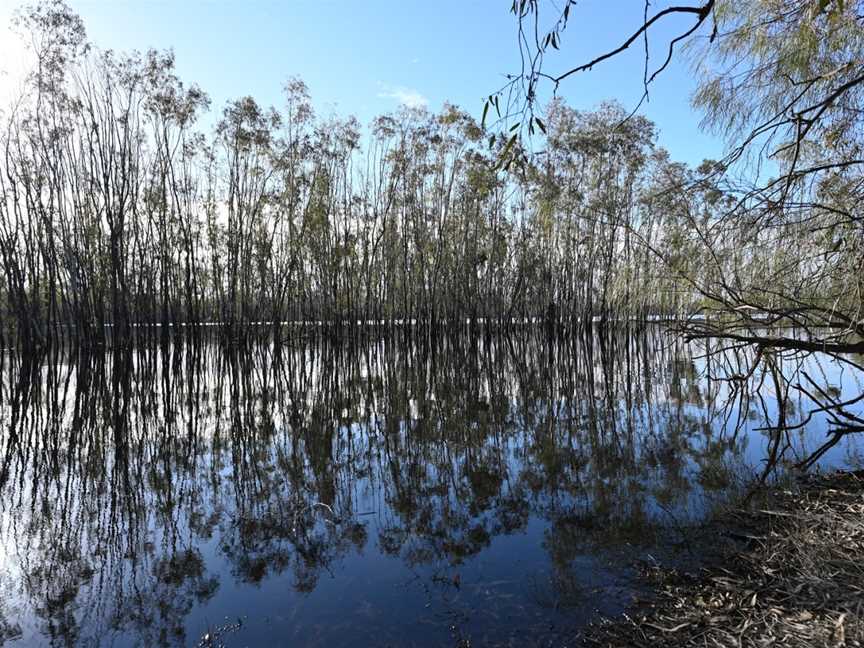 Lake Hattah, Ouyen, VIC