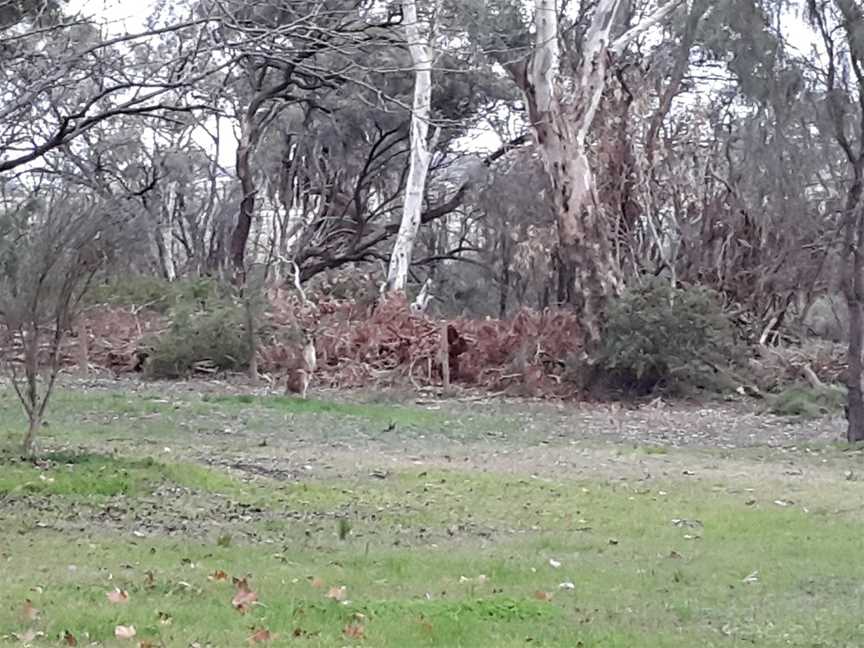 Lake Hawthorn, Mildura, VIC