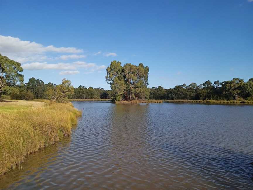 Lakewood Nature Reserve, Knoxfield, VIC