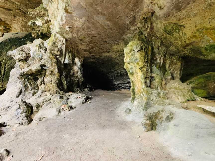 Limestone Caves, Ashford, NSW