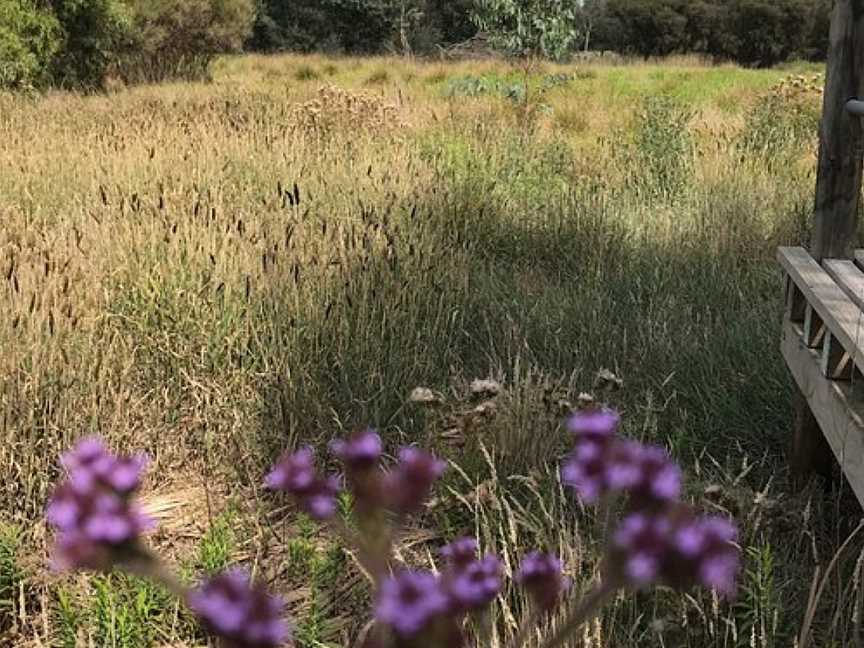 Macalister Wetland Reserve, Maffra, VIC