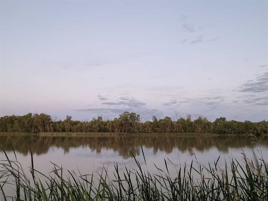 Moorook Game Reserve, Kingston On Murray, SA