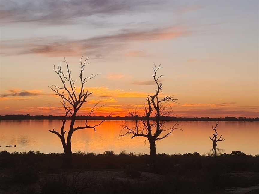 Moorook Game Reserve, Kingston On Murray, SA