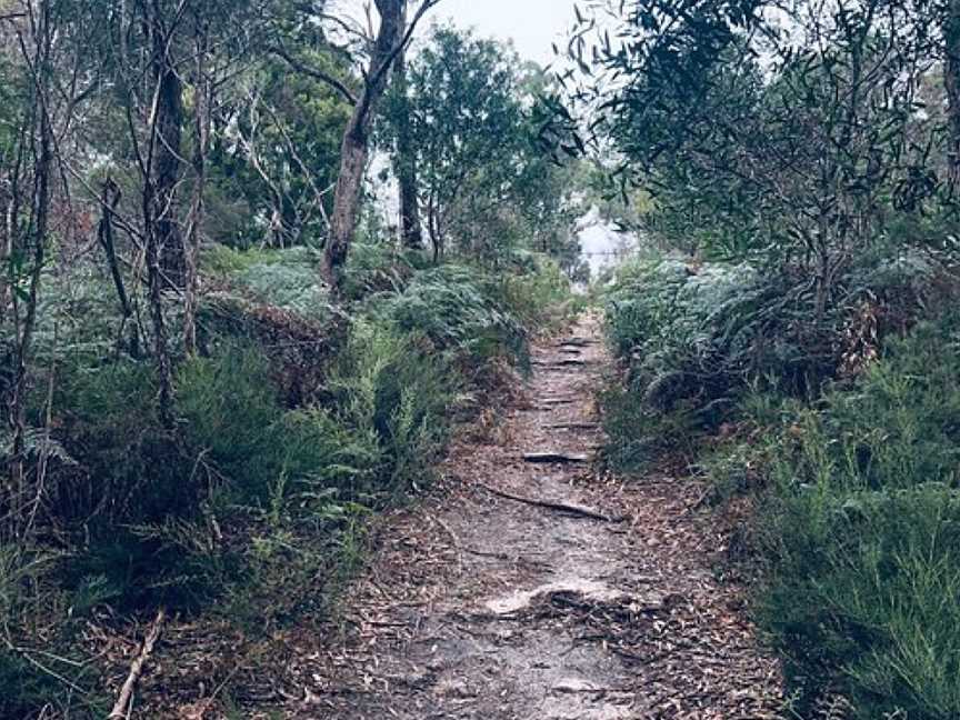 Studio Park Reserve, Langwarrin, VIC