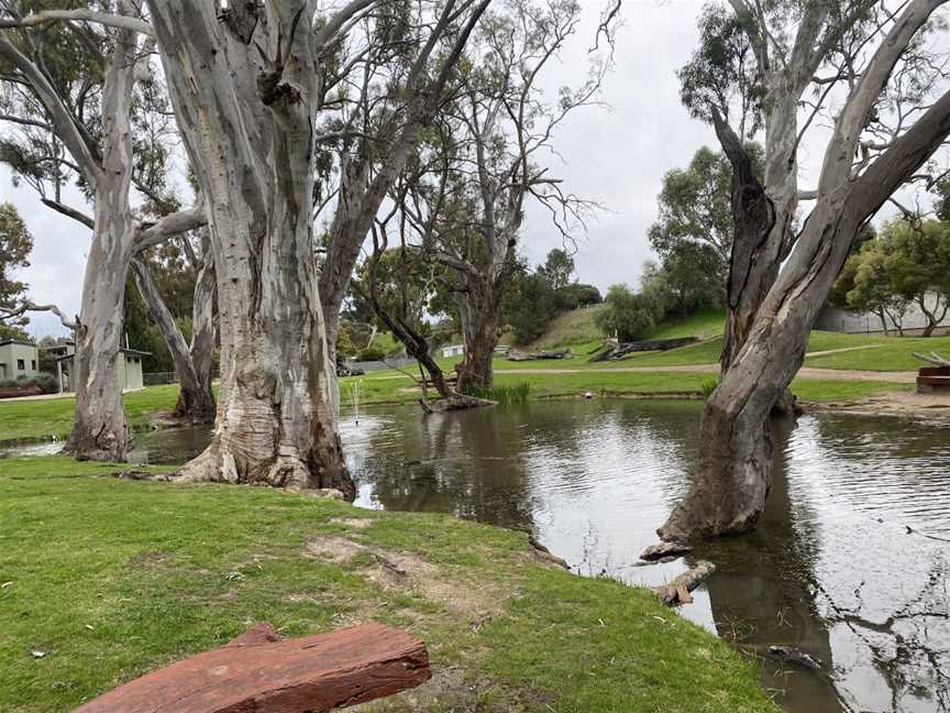 Tolmer Park, Bordertown, SA