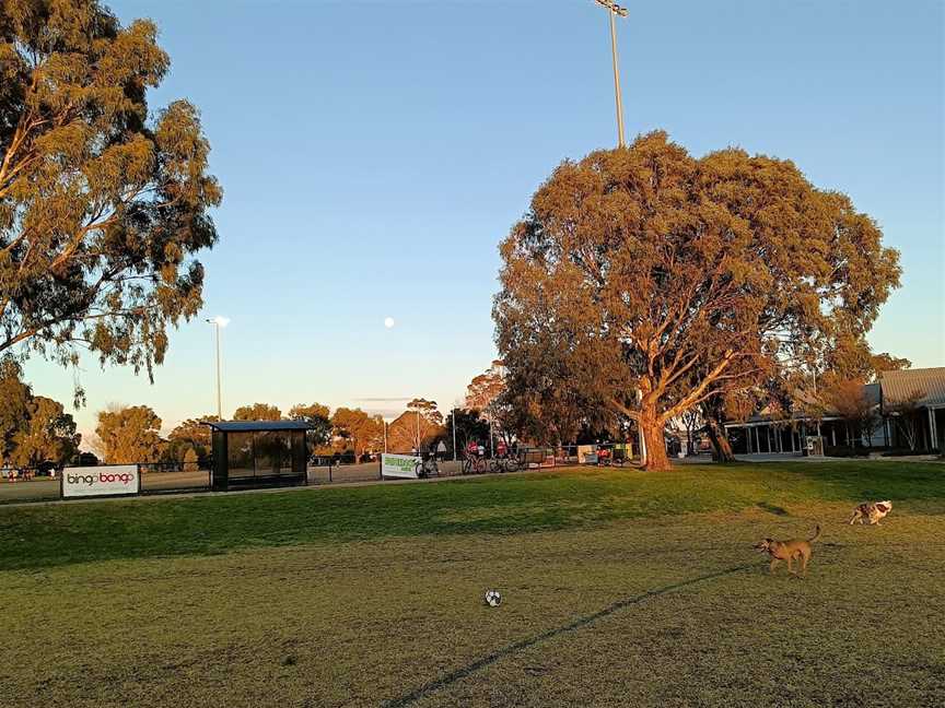 Walter Galt Reserve, Parkdale, VIC