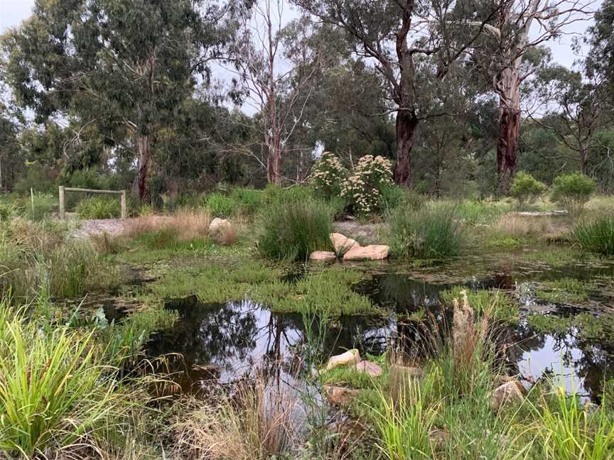 Yarrabing Wetlands Reserve, Wantirna, VIC