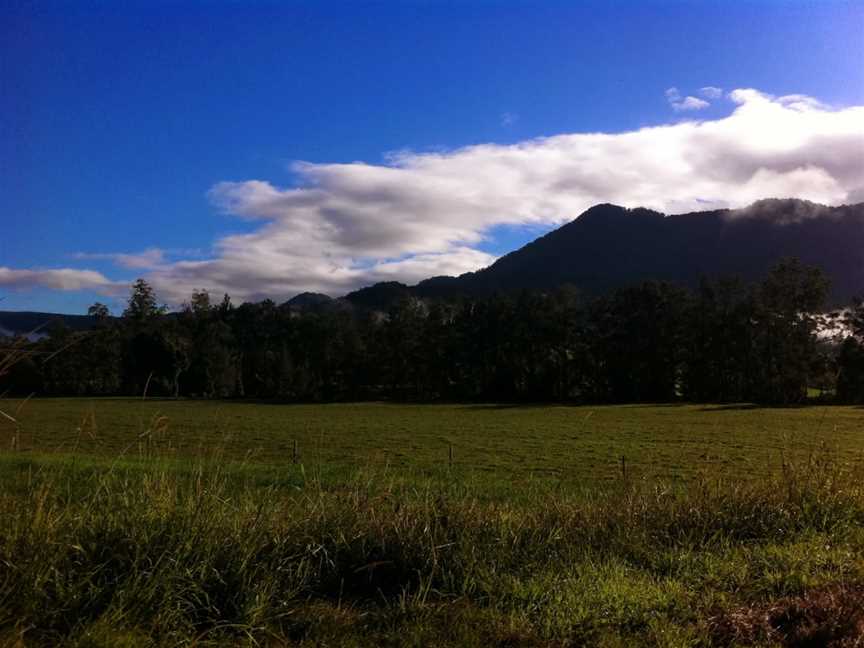 Bellinger River National Park, Dorrigo, NSW