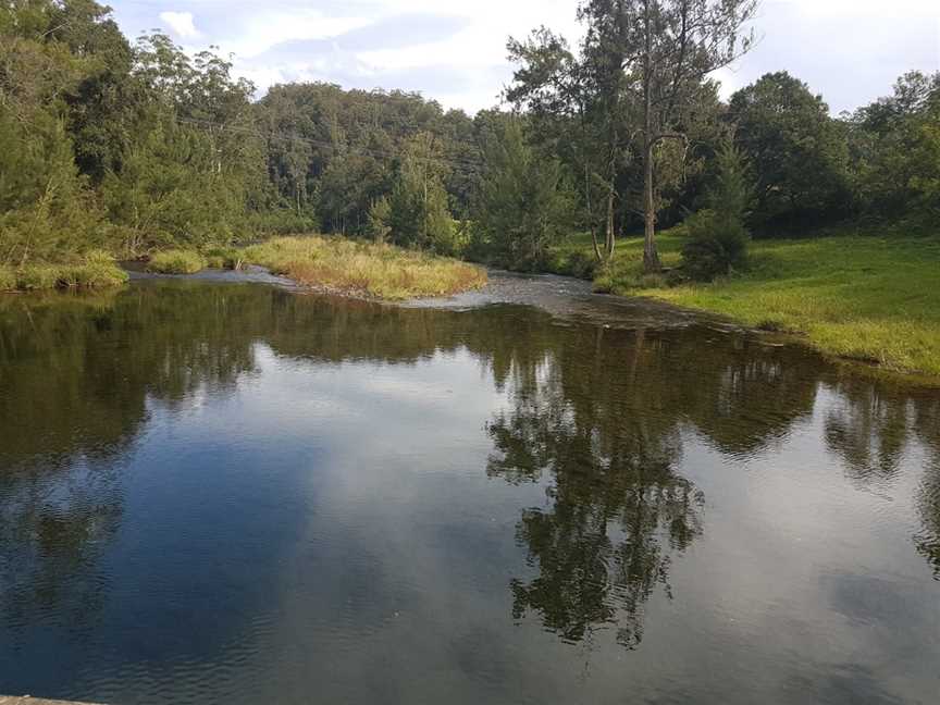 Bellinger River National Park, Dorrigo, NSW