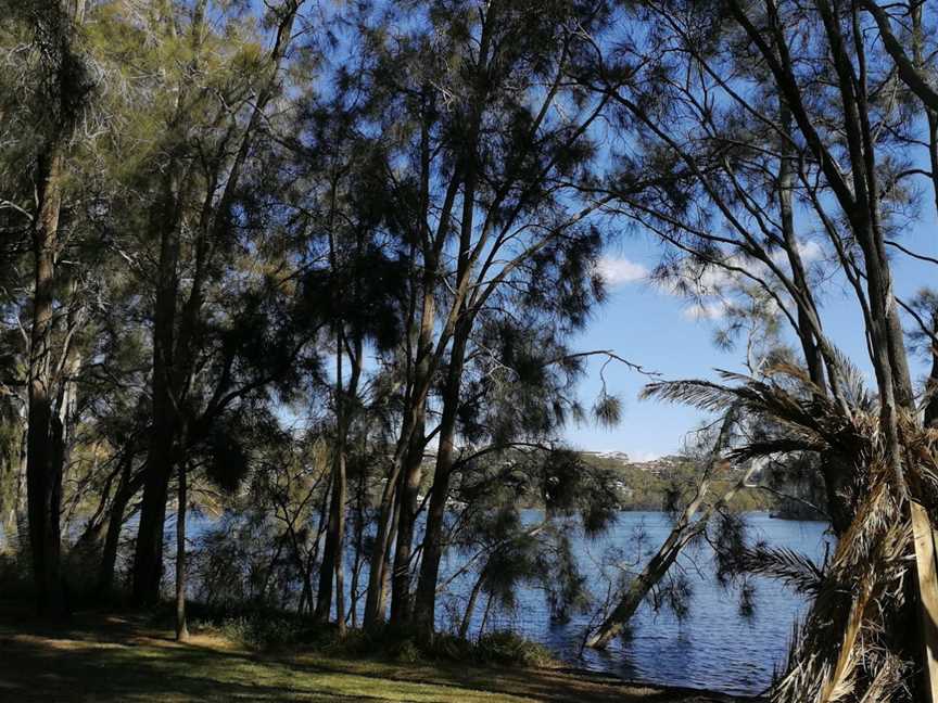 Berry Reserve, Narrabeen, NSW