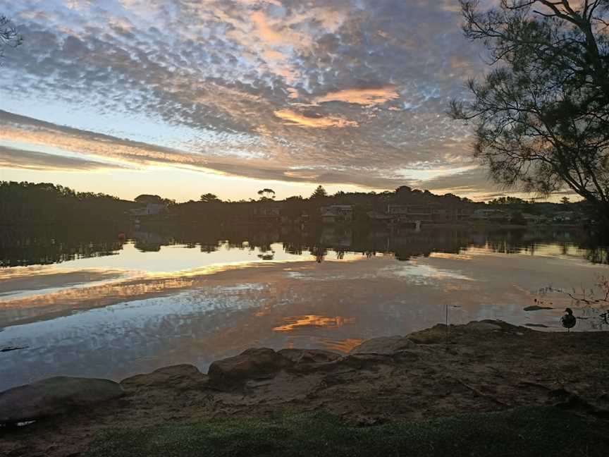 Berry Reserve, Narrabeen, NSW