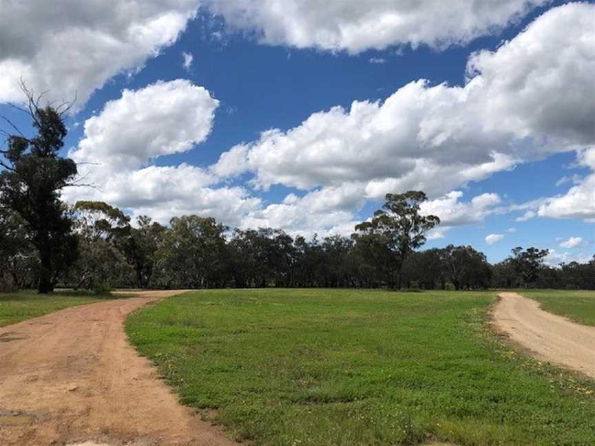 Bogan Weir, Peak Hill, NSW