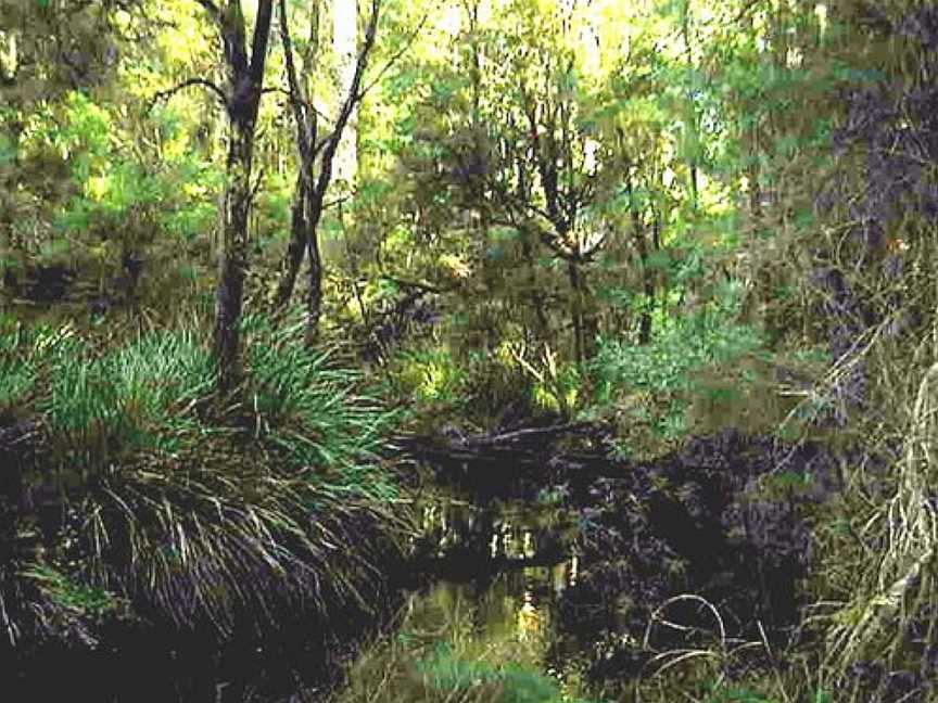 Boorara State Championship MTB Trail, Northcliffe, WA